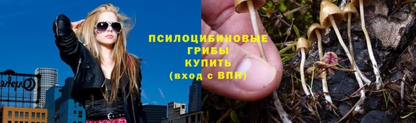 марки lsd Новозыбков