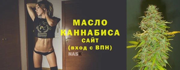 сатива Новокубанск