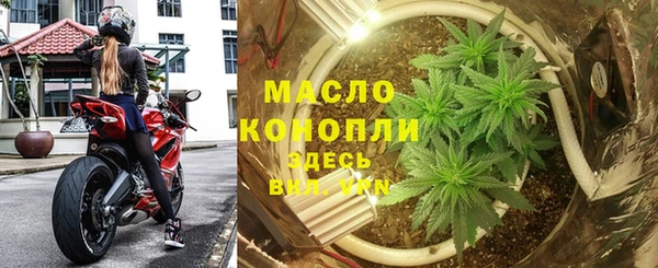 сатива Новокубанск