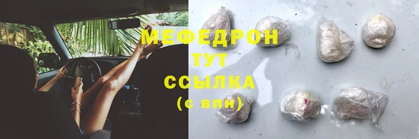 сатива Новокубанск