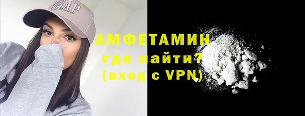 сатива Новокубанск