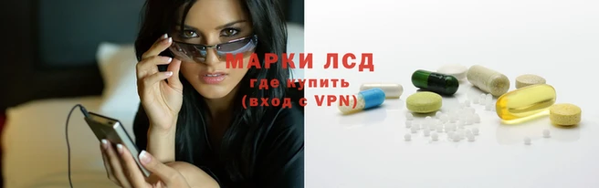 сатива Новокубанск