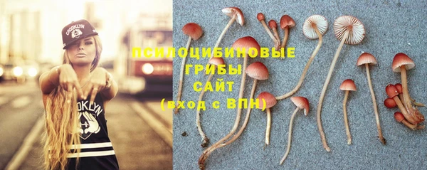 мдма Новодвинск
