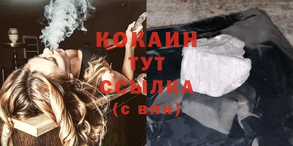 сатива Новокубанск