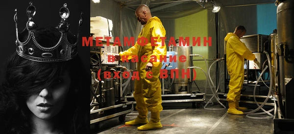 сатива Новокубанск