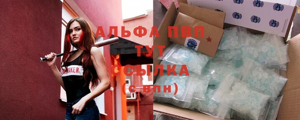 марки lsd Новозыбков