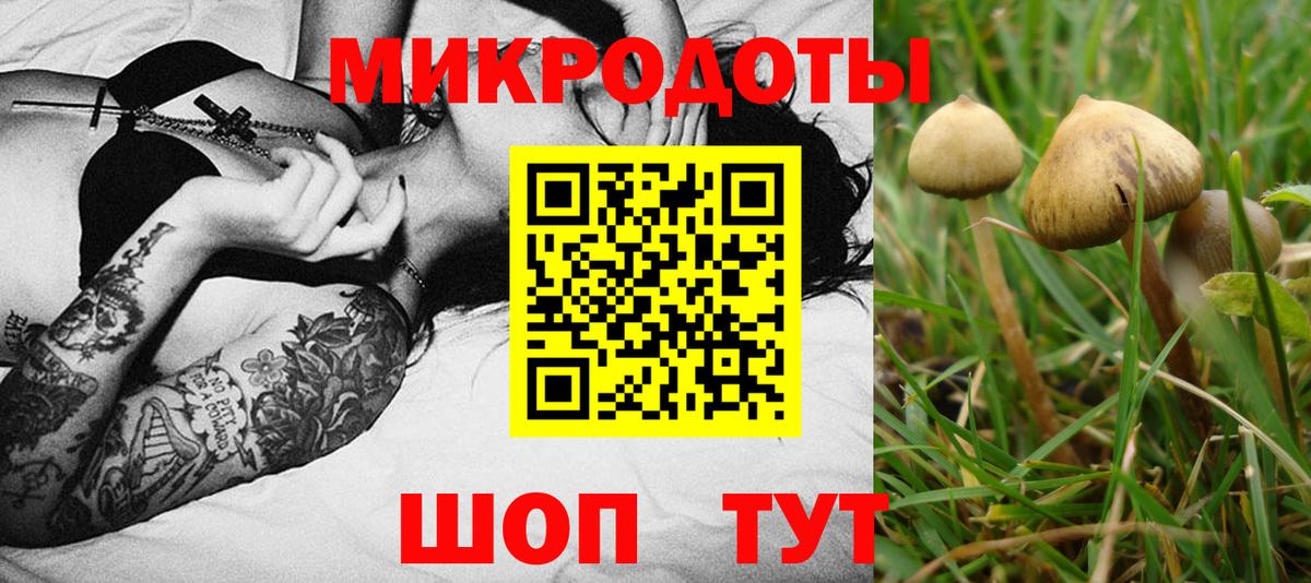 Псилоцибиновые грибы мухоморы Ижевск