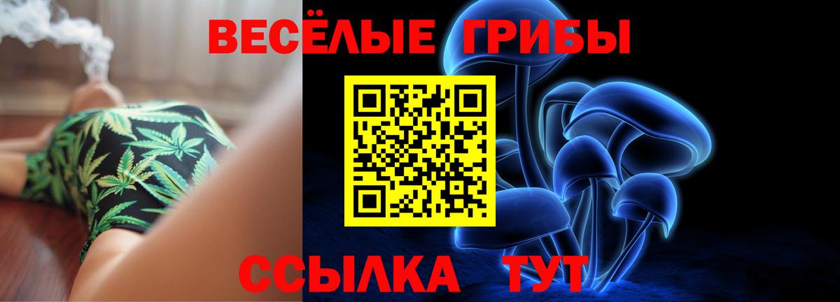 Псилоцибиновые грибы Psilocybe  Вход с VPN  Ижевск 